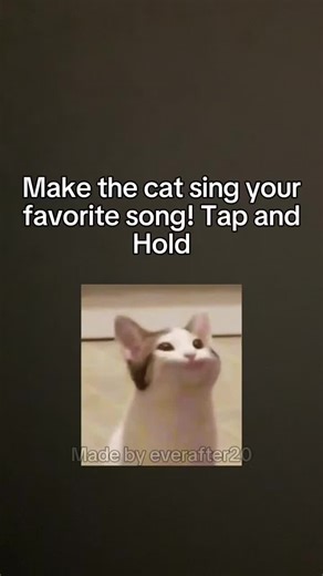 Cat Roadman Bop: A Hilarious Trend