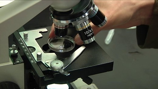 These are challenges the Bay Area faces in eliminating 'forever chemicals' in water, experts say