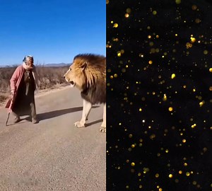 Why so serious. on Reels