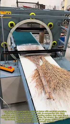 Satisfying Horizontal Wrapping: How This Machine Bundles Straw with Film
