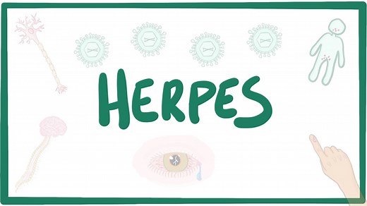 Herpes simplex virus: Video, Causes, & Meaning | Osmosis
