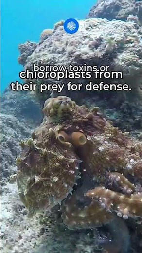 Five must-know invertebrate facts
