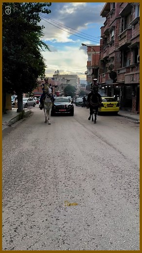 بالفرسان دايرين بيك❤️❤️❤️❤️ | Dreams Studio prod