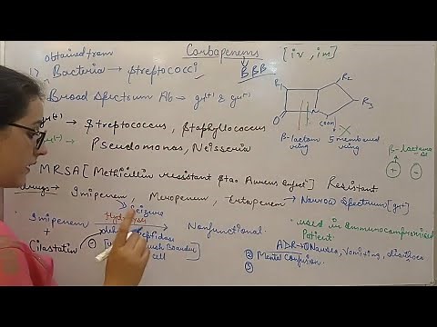 Carbapenem | Complete Pharmacology