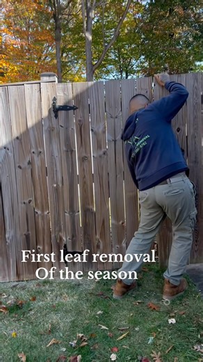 Do you need leaf removal ?? Lets get you on the schedule to keep these leaves out of your yard!!! Text- 571 386 8782 #Va #dmv #leaf removal #leaf #junkremoval #vatopjunkremoval #vatoperd | VA Topjunkremoval | Facebook