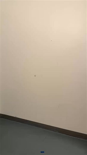 Paj Ntsais Vaj (Chena Vang): Miss Hmong WI 2026 Contestant #2 wearing a Hmong White Sequin attire (Hmoob dawb tawm laug cog ci). Clothes sourced by our MHWI Committee. #misshmongwi #misshmong #hmonggirl #hmongamerican #hmong #hmongpageant #mkehmongnewyear #milwaukeehmongnewyear | Miss Hmong Wisconsin Pageant