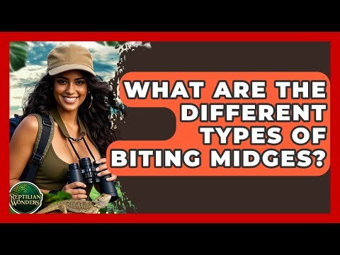 What Are The Different Types Of Biting Midges? - Reptilian Wonders