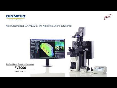FV3000 Confocal Laser Scanning Microscope