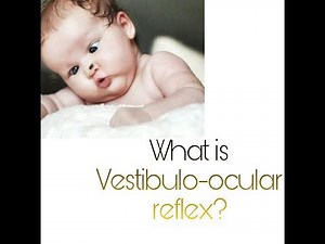 what is vestibulo-ocular reflex?