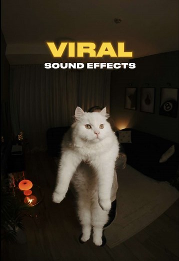 Viral Sound Effects Pack for Creative Videos