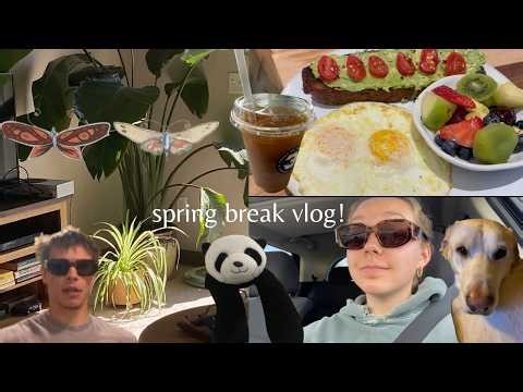 spring break in iowa core