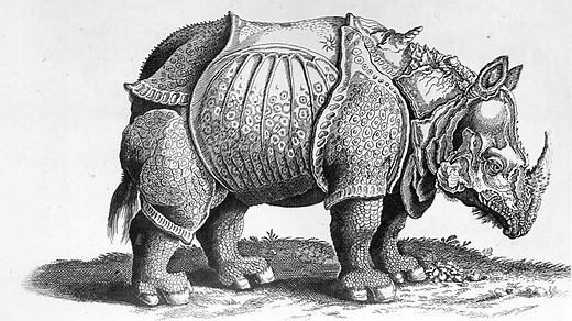 Line - Line - AQA - GCSE Art and Design Revision - AQA - BBC Bitesize