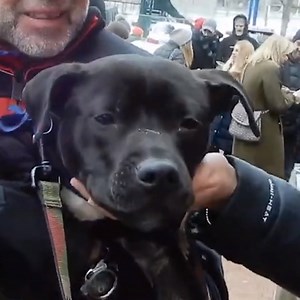 40K views · 655 reactions |  The Montauk Brewing Company has brewed a special beer called the “Montauk Tale Ale” to fundraiser for the Southampton Animal Shelter Foundation! It helps the shelter raise money to provide care for the animals.  25% of each ‘Tale Ale’ goes towards the shelter. ❤️ | News 12 Long Island | Facebook