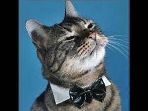 MÓDULO 5 ▶ Semana 2 ▶ Actividades integradoras 3 y 4