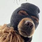 泛爱心说剧原创直播_泛爱心说剧视频直播