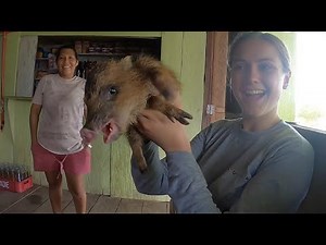 The People of the Amazon River... and Their Pets!🇵🇪