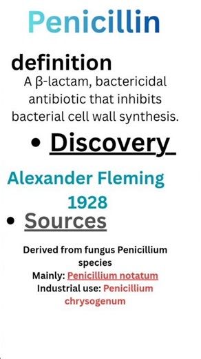 penicillin pharmacology