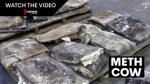 Meth found inside rotting skin parcels heading for Melbourne