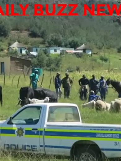 A violent farm attack on the West Coast has left a local farming community shaken, prompting renewed calls for stronger rural safety measures. The incident reportedly involved armed attackers targeting a farm property, raising concerns about the safety of farmers and farm workers in remote areas. Authorities are investigating the attack while government officials, including John Steenhuisen, have called for urgent action to improve rural policing and security coordination. Community leaders say 
