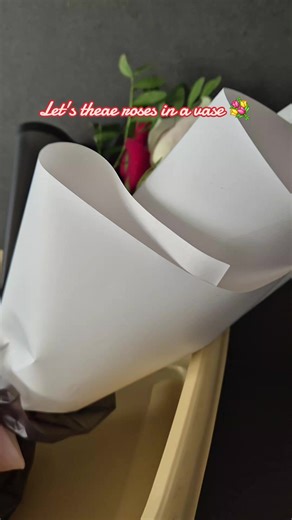 Mylola على TikTok