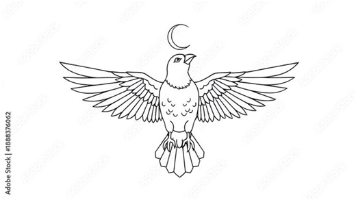 Sequential Line Drawings of an Owl Flying under the Moon with Wings Spread Wide