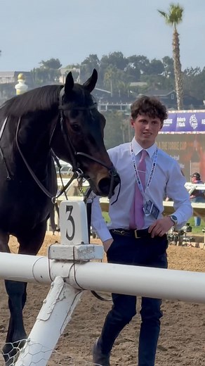 30K views · 760 reactions | ETHICAL DIAMOND 欄 Breeders' Cup The Willie Mullins trainee bested many of the world’s best on the turf, proving as multitalented as his esteemed trainer, with a tour de force victory in the GI Breeders’ Cup Turf. #BC25 Owned by the H O S Syndicate; bred by Mr W. J. Kennedy; ridden by Dylan Browne McMonagle. | Thoroughbred Daily News | Facebook