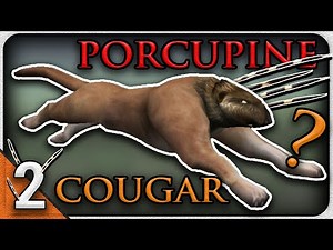 Cougar + Porcupine Shoots Quills! | Impossible Creatures Campaign Mission 2
