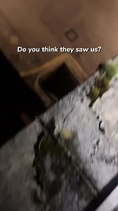Hiding from police on a abandoned rooftop #urbex #urban #abandoned #abandonedplaces #urbanexploration #decay #forgottenplaces #lostplaces | Dee Explores