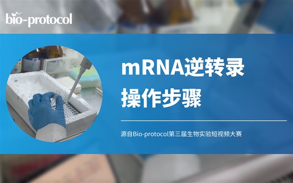 【Bio-protocol】mRNA逆转录操作步骤