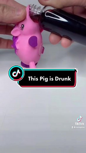 Hilarious Drunk Pig Moment