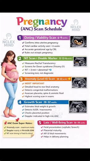 The NCLEX MIND on Instagram: "Pregnancy Scan Schedule – Exam-Oriented Golden Points (Short) • Dating / Viability Scan (6–9 weeks): Confirms intra-uterine pregnancy, fetal heartbeat, gestational age. • NT Scan (11–13+6 weeks): Measures nuchal translucency for early chromosomal abnormality screening. • Anomaly Scan (18–22 weeks): Detects major congenital anomalies; assesses fetal anatomy and placenta. • Growth Scan (28–32 weeks): Monitors fetal growth, amniotic fluid index (AFI), and placental pos