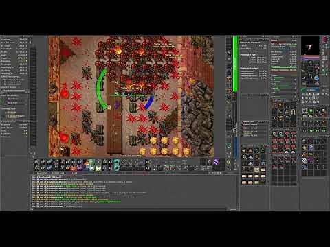 Tibia Cobra Bastion Vizier Hunt 960 MS