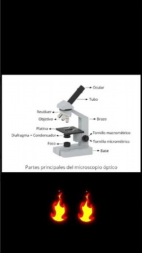 Parts of the microscope #pedrobosquez