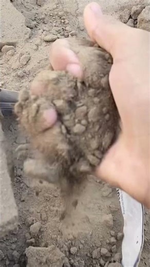 #sandmentcrushing #crunchycrumbles #relax #crumbleart #satisfying #oddlysatisfying #cementart #asmr