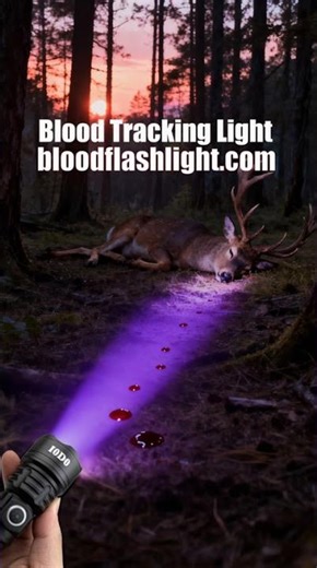 Science Meets the Hunt.This Changes Everything