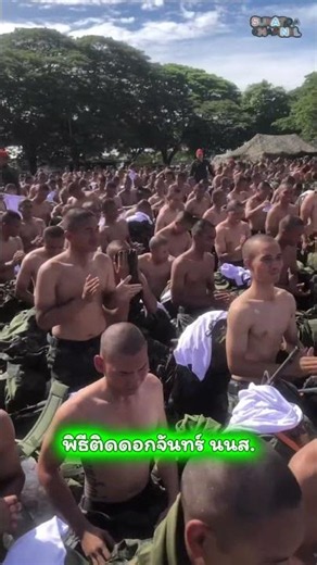 "Month" Pinning and Green-Collared White Shirt Receiving Ceremony for NCO Students #SuratdaChanne...