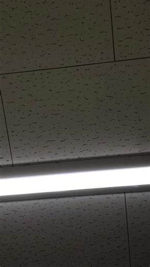 ２月26日ずっと大泣きしてた日 私→👧 保健室の先生→👩‍⚕️ 担任→👩‍🏫 なんかいろいろ思い出しちゃって辛くてしんどくて授業中ずっとないてた。 4時間目終わり 👧（机に伏せてた） 👩‍🏫｢👧ちゃーん大丈夫？体調悪い？」 👧「泣」 👩‍🏫「どーしたん今日はしんどい日？」 👧「泣」 👩‍🏫「なんかゆってくれんとわからんよ」 👧「泣」 👩‍🏫「保健室いくか？」 👧「頷く泣」 👩‍🏫「おいで」 👧（立った） 👩‍🏫「えないてるやん。どうしたん？」 👧｢なにもない泣だいじょうぶ泣」 👩‍🏫｢👧ちゃんがゆう大丈夫は大丈夫じゃないよ。 👩‍⚕️先生に話聞いてもらいなね」 👧｢泣」 保健室 👩‍🏫｢失礼します 👧ちゃんちょっと落ち着かなくて泣いてるので話聞いあげてください。」 👩‍⚕️｢わかりましたありがとうございます！」 👩‍🏫先生どっかいった 👩‍⚕️「そこすわりな！」 👧｢泣」 👩‍⚕️｢しんどい？」 👧｢泣」 👩‍⚕️｢体調悪い？」 👧｢首振る泣」 👩‍⚕️｢メンタル的に？」 👧｢頷く泣」 👩‍⚕️｢そ