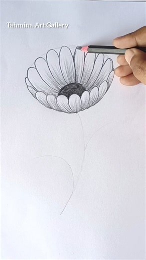 How to draw Daisy flower - step by step #Art #Drawing #PencilSketch #SatisfyingArt #FlowerDrawing #DoodleArt #Daisy #Shorts #FbReels #Motivation | Tahmina Art Gallery