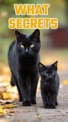 What your cat's color says about their behavior