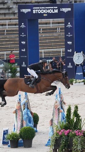 1.5K views · 261 reactions | Bisquetta was happy to jump her first...