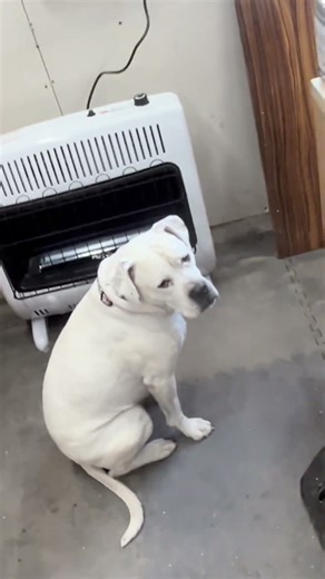 I Didn’t Expect This… Mr. Heater 30,000 BTU Ventless Heater Unboxing & Honest Review