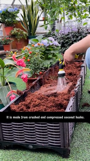 coco coir brick | SRK