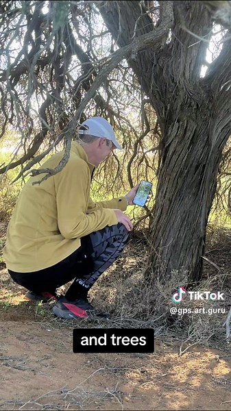 Strava Art: Creative Koala Design on the Trail