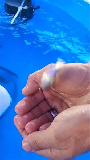 we are barely alive to feel others Hurt #pain #fish #amimal #hurt #animals