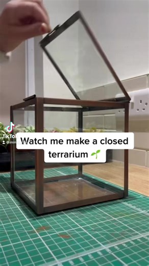 Creating a Closed Terrarium for Indoor Ecosystems