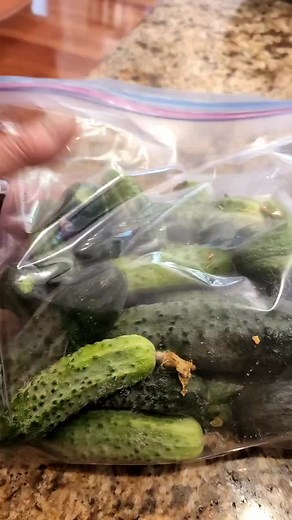 Best Tips for Pickling Cucumbers Without Refrigeration