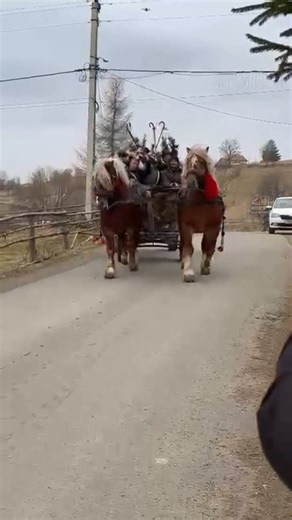 🎄 Colindă din Mărișel 🎄 Pe zi, cu carul tras de cai, Junii Fundanilor pornesc prin plai. Din casă-n casă, cu glas curat, Vestesc Nașterea Domnului, colind adevărat. Prin Mărișel țin datina vie, Cu joc, cu cântec și bucurie. 🎉 MARELE JOC la Mărișel 🎉 📆 27 decembrie – Simona Boncuț & Formația 📆 28 decembrie – Oprița de la Blaj & Formația Nelu Popa 📍 Tradiție, joc și voie bună, Crăciun cu lumină și inimă bună! 💙✨ | Apuseni Stories
