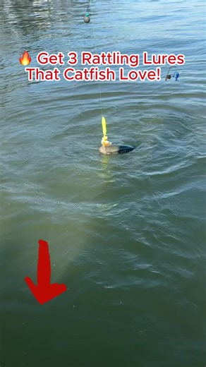 🎣 Cast it out, let the rattle shake, and watch catfish rush in! 🐟💥 Easy setup, strong hooks, and action-packed results every time. #CatfishRig #FishingTok #FishingHack #CatchMoreFish #BigCatch