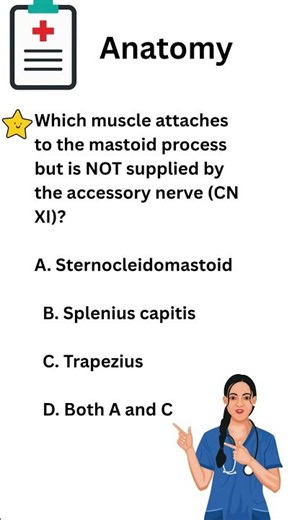 Anatomy Series|17| #anatomy #headandneckanatomy #usmle #youtubeshorts