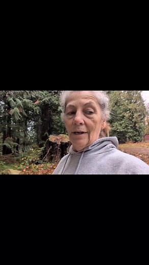 1.3K views · 31 reactions | The truffles are hidden. Outdoors, I've hidden the truffle oil socks. Down in the arena I buried the actual practice truffles for Thistle to dig up. I should have given more detail on the practice truffles in the arena, but forgot while I was there, sorry! Either way, you can see Thistle at work, doing what we call the 'Thistle Truffle Trot' ☺️ | ScottishCollies of the Pacific Northwest | Facebook